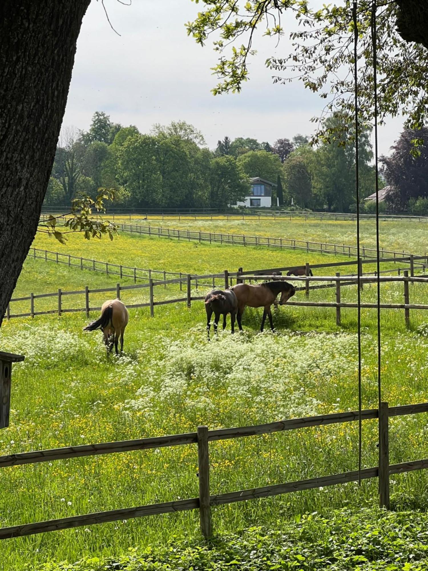 Herrenhaus - Starnberger See - Ammerland Munsing Ngoại thất bức ảnh