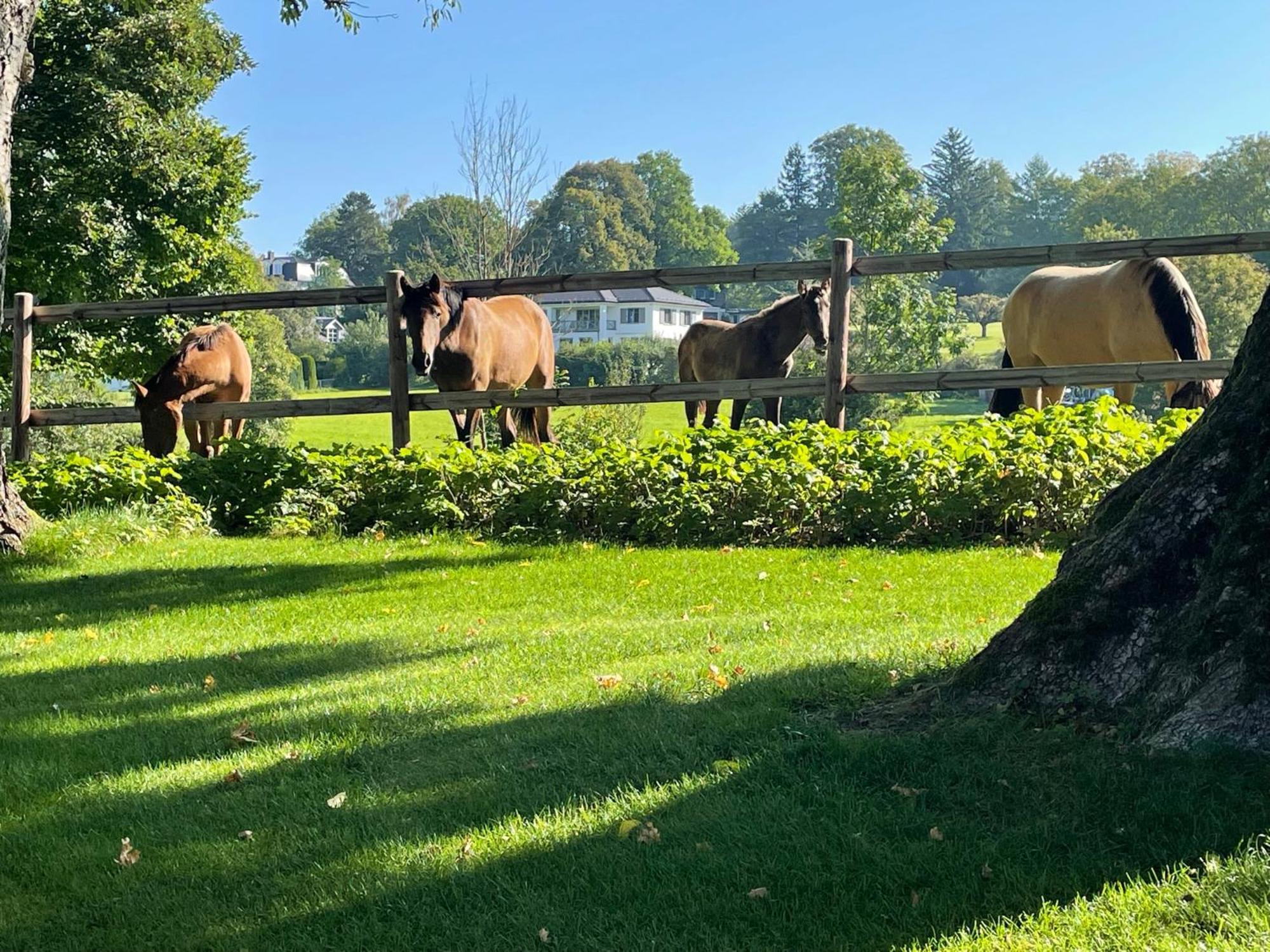 Herrenhaus - Starnberger See - Ammerland Munsing Ngoại thất bức ảnh